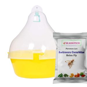 Fruit Fly Lure