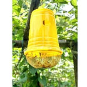 Insect Bucket Trap